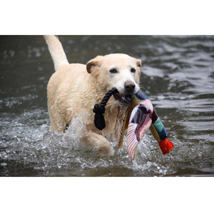 Fly and Fetch Duck -Spunky Pup - Bulletproof Pet Products Inc