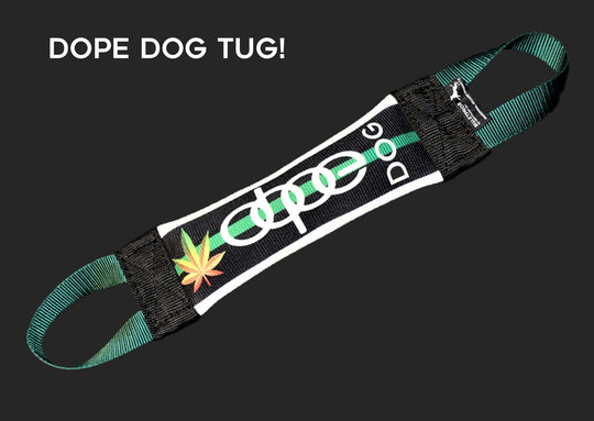 GREEN DOPE DOG FIRE HOSE TRAINING TUG - Bulletproof Pet Products Inc