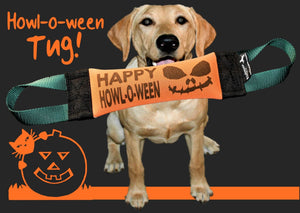 HAPPY HOWL-O-WEEN FIRE HOSE TRAINING TUG - Bulletproof Pet Products Inc