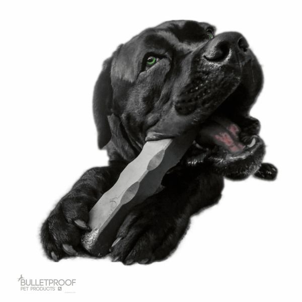 Indestructibone Professional Grade Super Max - Dogs 101 lbs. + - Bulletproof Pet Products Inc