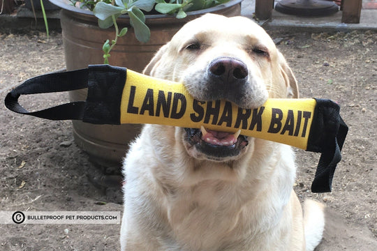 LAND SHARK BAIT FIRE HOSE TRAINING TUG - Bulletproof Pet Products Inc