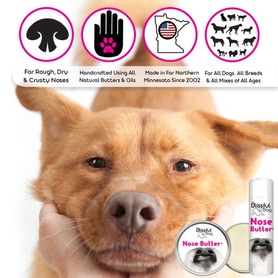 NOSE BUTTER - BY THE BLISSFUL DOG - Bulletproof Pet Products Inc