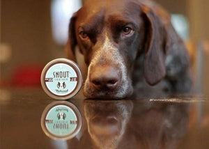 ORGANIC SNOUT SOOTHER BY NATURAL DOG COMPANY - 2 OZ TIN - Bulletproof Pet Products Inc