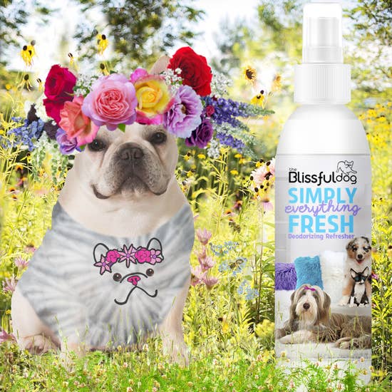 Simply Everything Fresh Deodorizing Pet Spray - By The Blissful Dog - 4 oz - Bulletproof Pet Products Inc