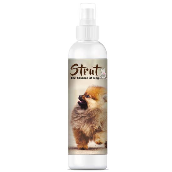 Strut the Essence of Dog | Sniffing Irresistable - By The Blissful Dog - 4 oz - Bulletproof Pet Products Inc