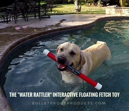 Water Rattler - Interactive Floating Fetch Toy 18" - Bulletproof Pet Products Inc